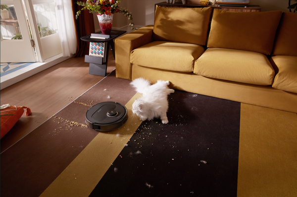 Питомцы, дети и хаос? Qrevo C вернет порядок в вашу квартиру